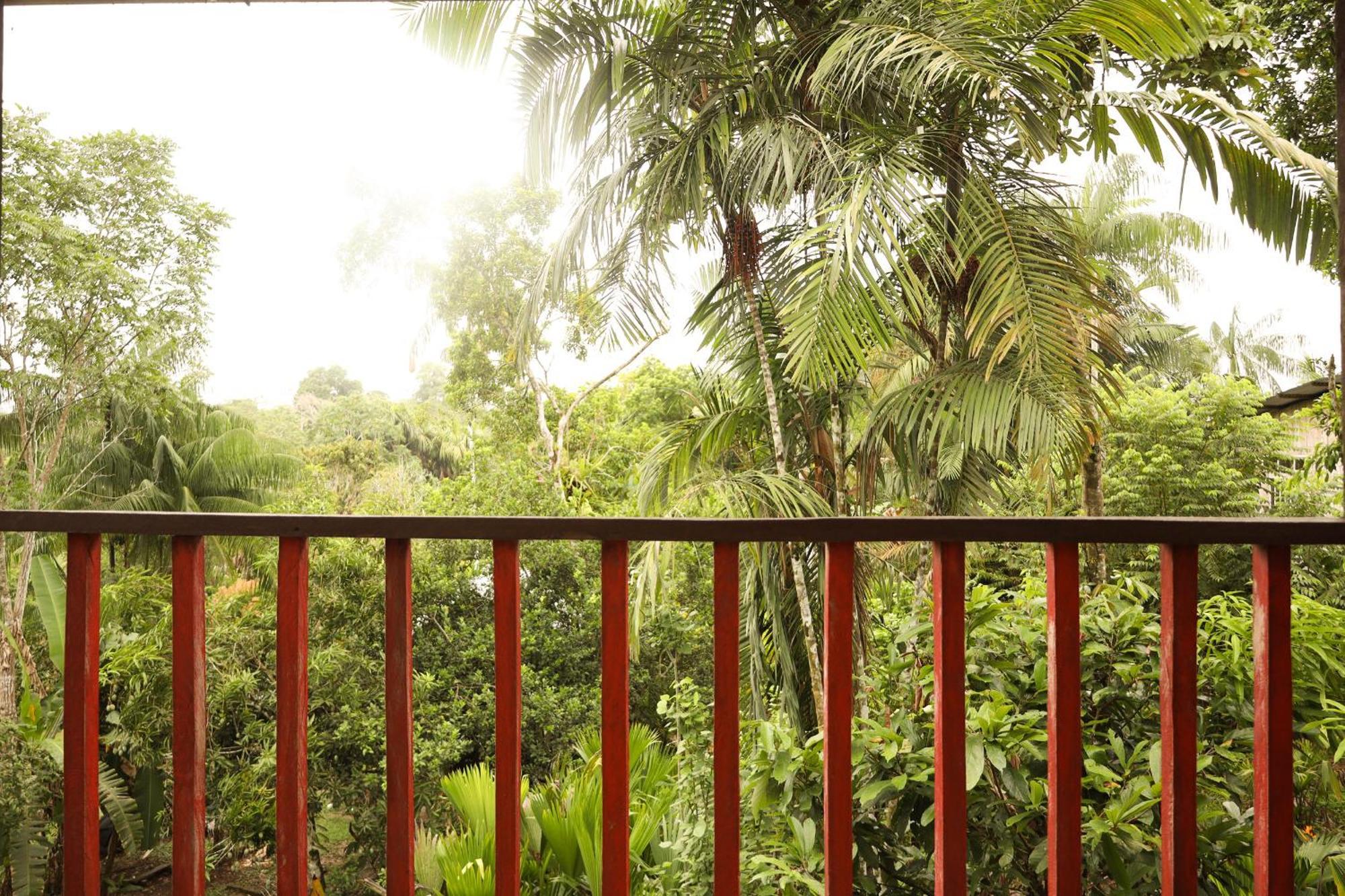 La Ceiba, Amazonas Hotell Leticia Exteriör bild
